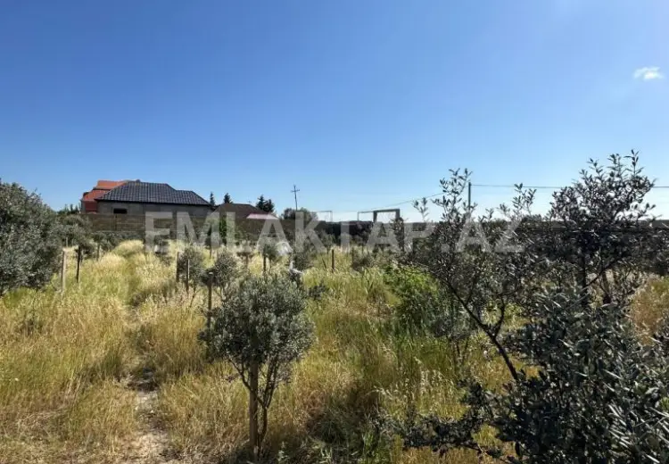 1 125 000 AZN - 50 sot Torpaq Satılır, Buzovna, Xəzər, Bakı