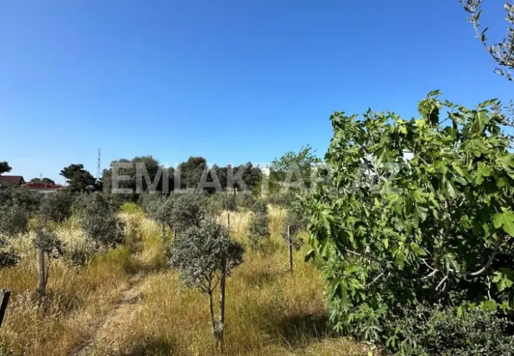 1 125 000 AZN - 50 sot Torpaq Satılır, Buzovna, Xəzər, Bakı