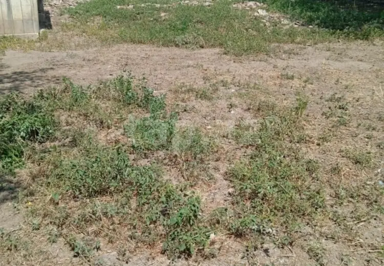 35 000 AZN - 6 otaqlı mənzil , Cəlilabad