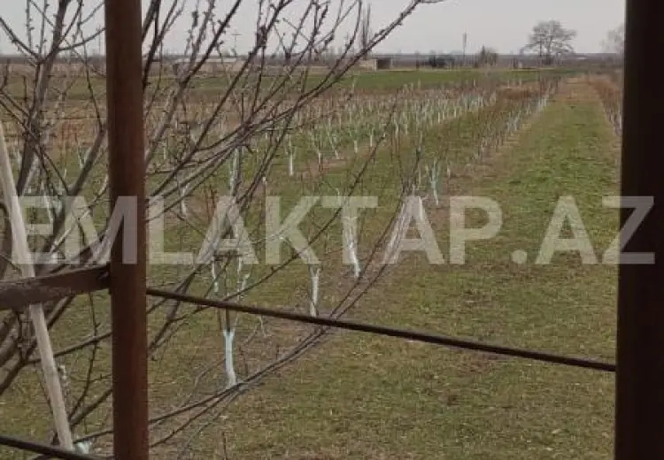 90 000 AZN - 3 otaqlı mənzil Satılır, Xudat