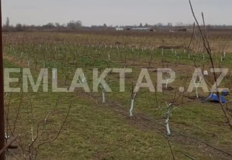 90 000 AZN - 3 otaqlı mənzil Satılır, Xudat