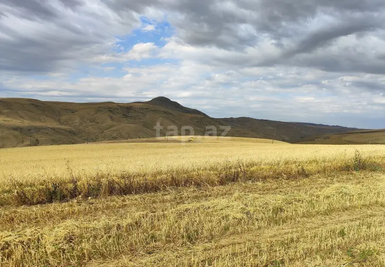 95 000 AZN - 0 m² Obyekt / Ofis , Qobustan