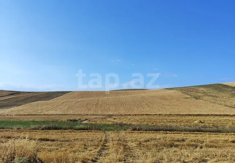 95 000 AZN - 0 m² Obyekt / Ofis , Qobustan