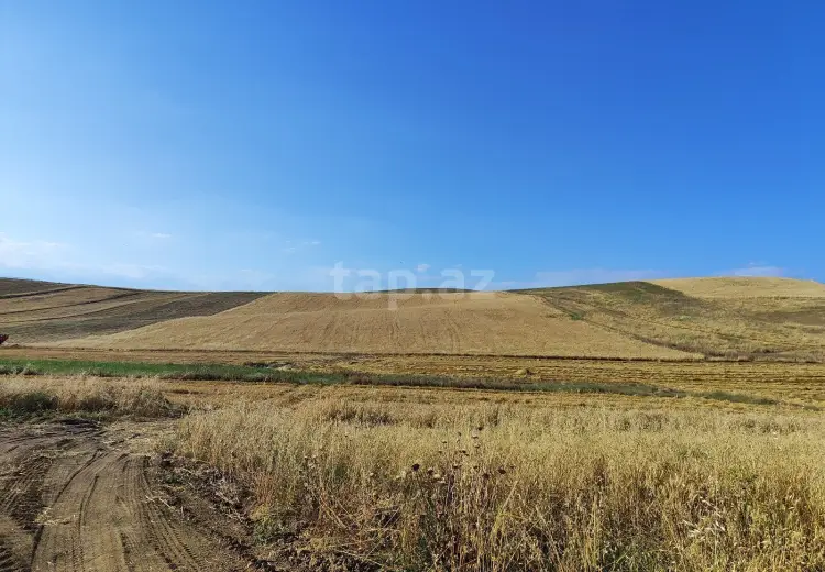 95 000 AZN - 0 m² Obyekt / Ofis , Qobustan