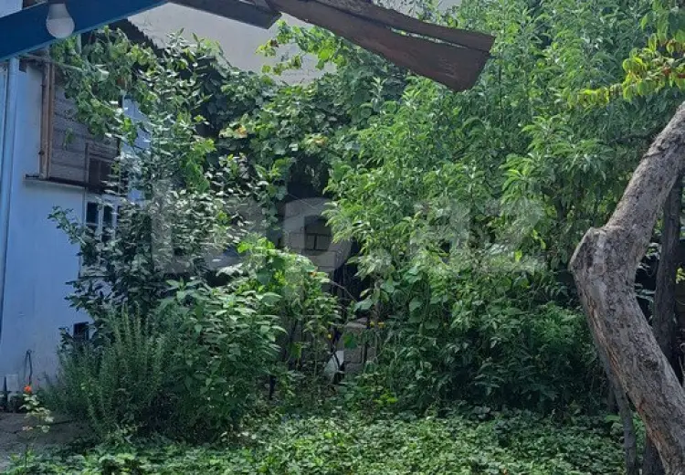 350 AZN - 3 otaqlı mənzil Kirayə (aylıq), Qusar