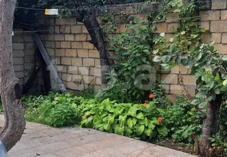 350 AZN - 3 otaqlı mənzil Kirayə (aylıq), Qusar