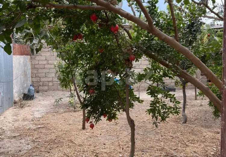 180 AZN - 1 otaqlı mənzil Kirayə (aylıq), Hövsan qəs., Suraxanı, Bakı
