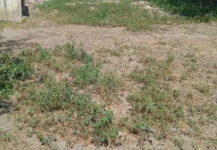 35 000 AZN - 6 otaqlı mənzil Satılır, Cəlilabad