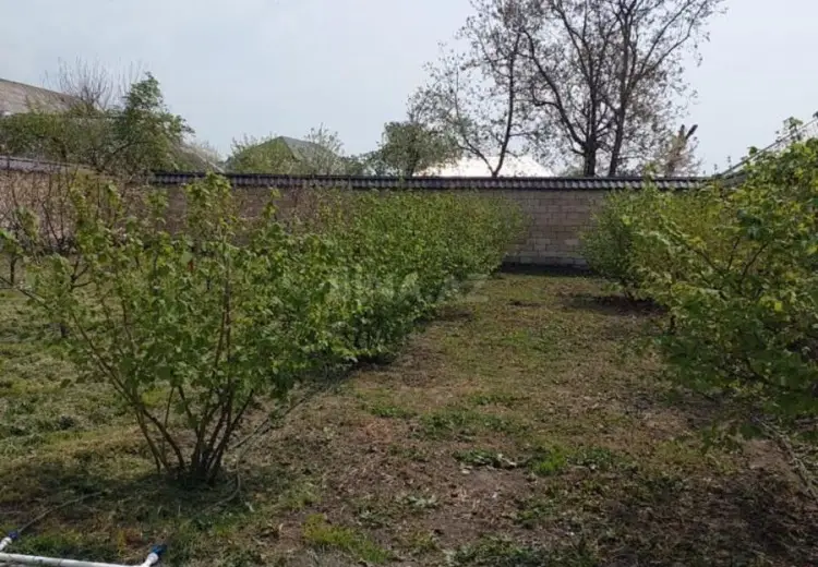700 AZN - 4 otaqlı mənzil Kirayə (aylıq), Qəbələ