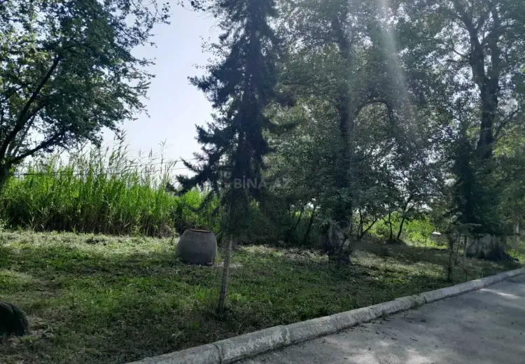 350 000 AZN - 8000 m² Obyekt / Ofis Satılır, Kürdəmir