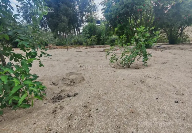 31 500 AZN - 3 sot Torpaq Satılır, Novxanı, Abşeron