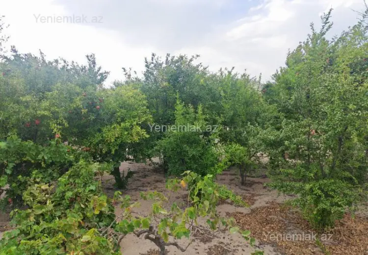 31 500 AZN - 3 sot Torpaq Satılır, Novxanı, Abşeron