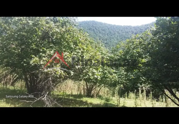 15 000 AZN - 0 sot Torpaq Satılır, Qax