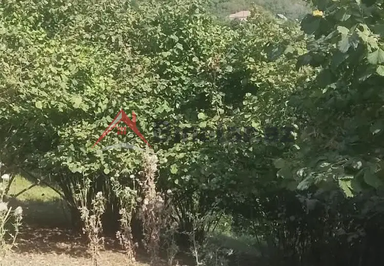 15 000 AZN - 0 sot Torpaq Satılır, Qax