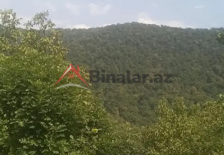 15 000 AZN - 0 sot Torpaq Satılır, Qax