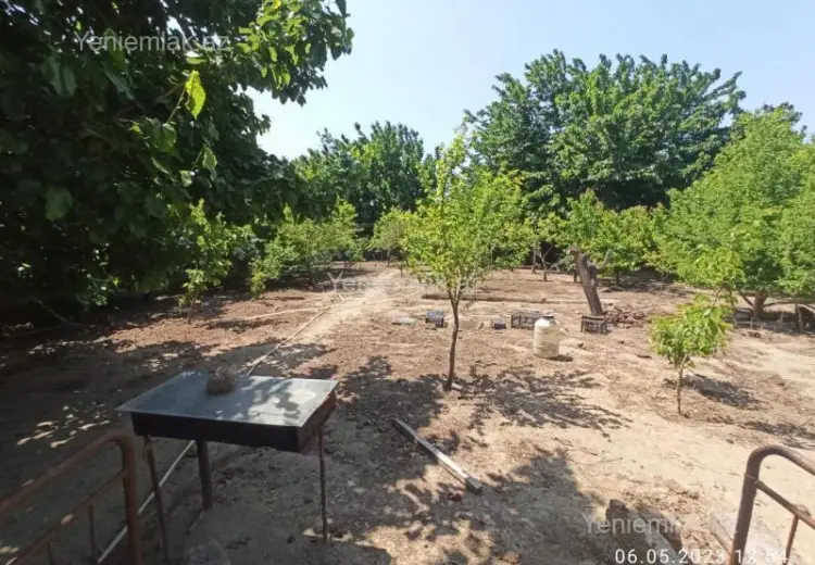 75 000 AZN - 6 sot Torpaq Satılır, Novxanı, Abşeron