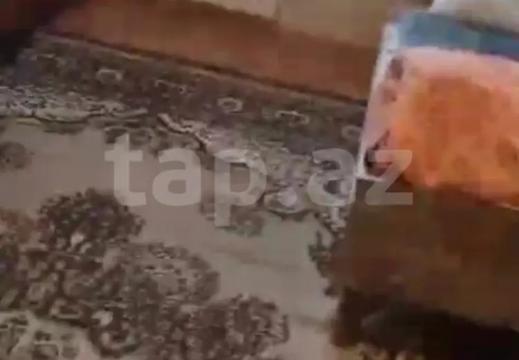 450 AZN - 1 otaqlı mənzil Kirayə (aylıq), 8-ci kilometr, Nizami, Bakı