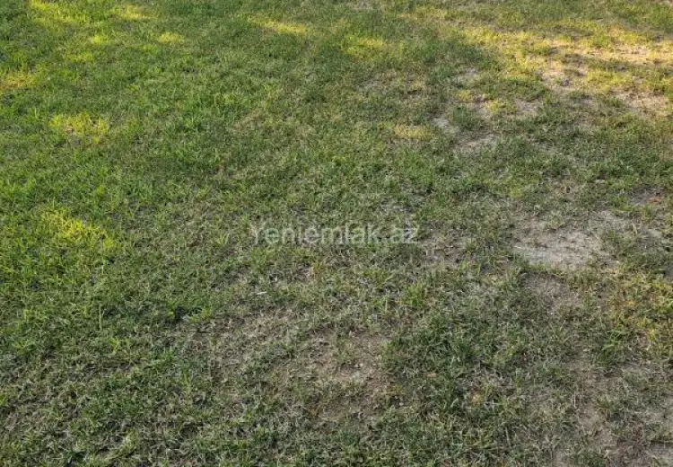 2 300 000 AZN - 30 sot Torpaq Satılır, Biləcəri qəs., Binəqədi, Bakı