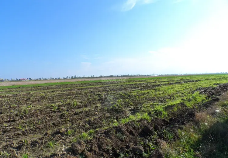 390 000 AZN - 646 sot Torpaq Satılır, Şəmkir