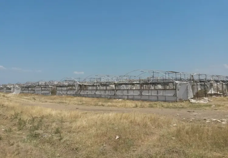390 000 AZN - 646 sot Torpaq Satılır, Şəmkir
