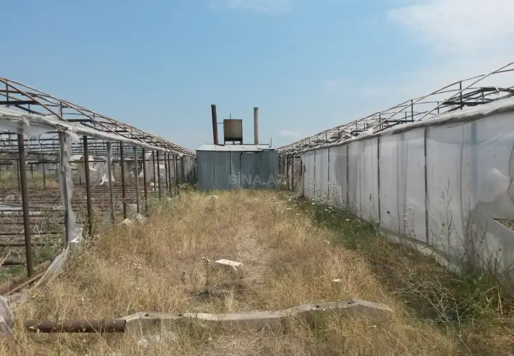 390 000 AZN - 646 sot Torpaq Satılır, Şəmkir