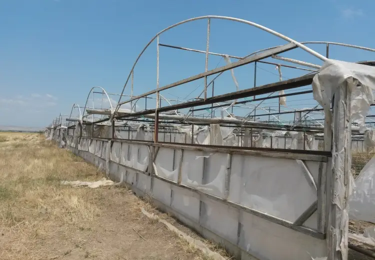390 000 AZN - 646 sot Torpaq Satılır, Şəmkir