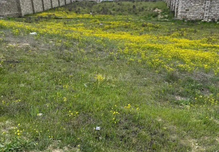80 000 AZN - 10 sot Torpaq Satılır, Dübəndi, Xəzər, Bakı