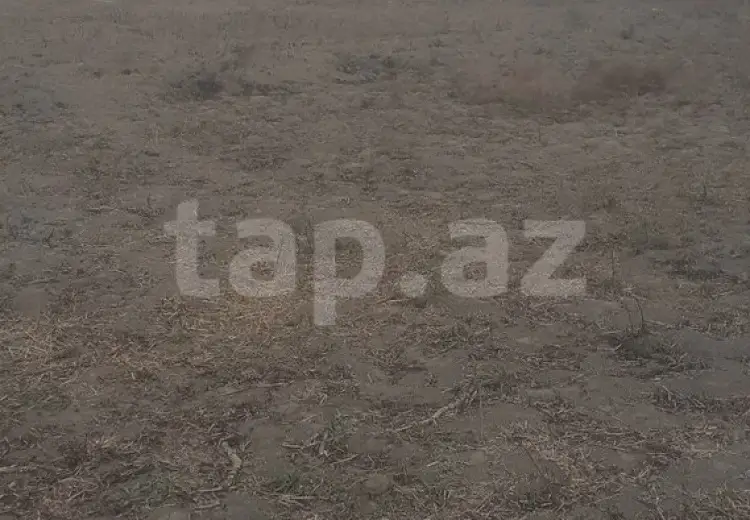 60 000 AZN - 0 m² Obyekt / Ofis , Sabirabad