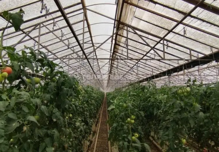 6 000 000 AZN - 220000 m² Obyekt / Ofis Satılır, Türkan, Xəzər, Bakı