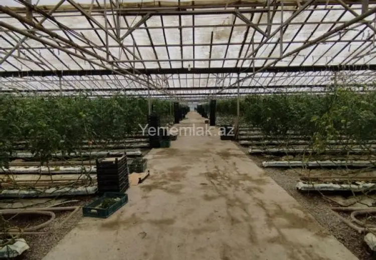 6 000 000 AZN - 220000 m² Obyekt / Ofis Satılır, Türkan, Xəzər, Bakı