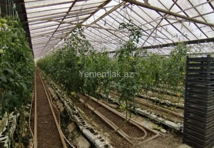6 000 000 AZN - 220000 m² Obyekt / Ofis Satılır, Türkan, Xəzər, Bakı