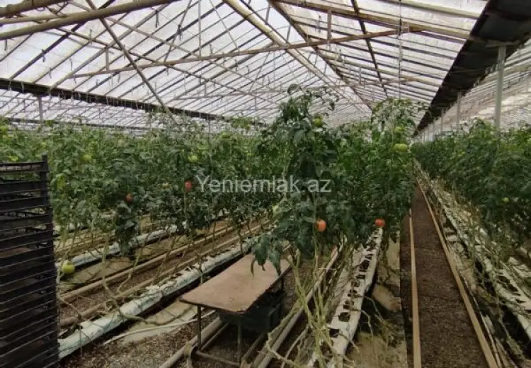 6 000 000 AZN - 220000 m² Obyekt / Ofis Satılır, Türkan, Xəzər, Bakı