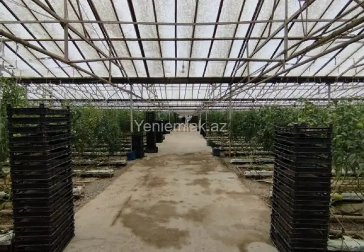 6 000 000 AZN - 220000 m² Obyekt / Ofis Satılır, Türkan, Xəzər, Bakı