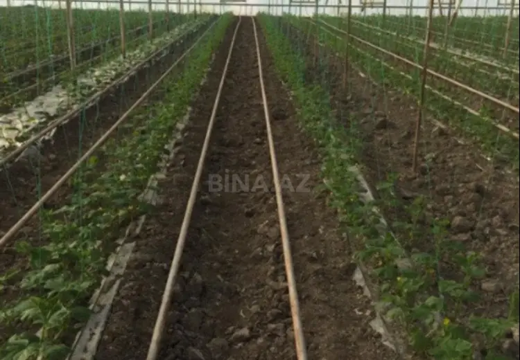 310 000 AZN - 60000 m² Obyekt / Ofis Satılır, Salyan