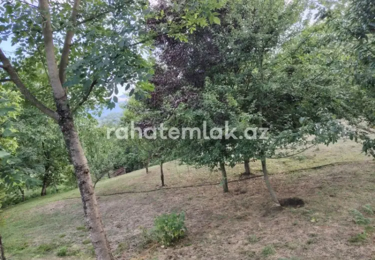 5 500 AZN - 0 sot Torpaq Satılır, Lerik