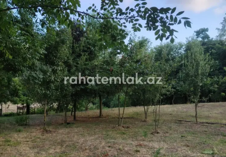 5 500 AZN - 0 sot Torpaq Satılır, Lerik