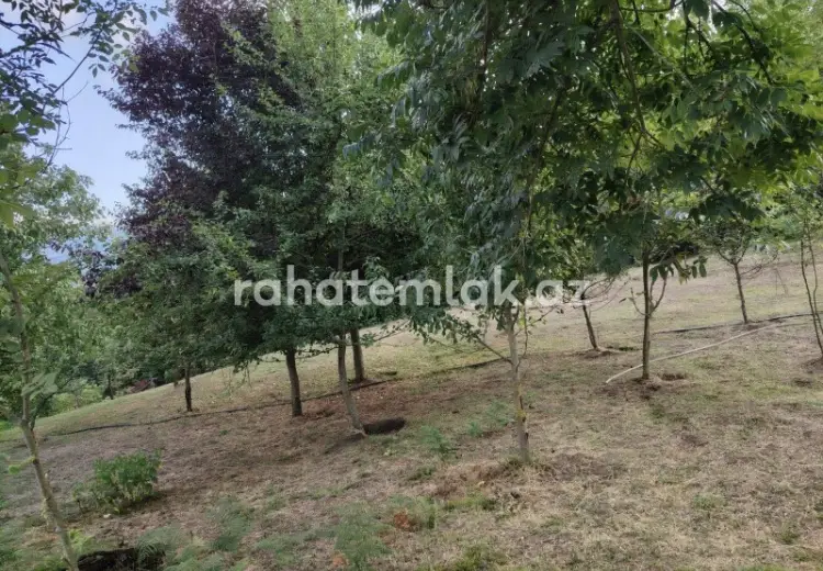 5 500 AZN - 0 sot Torpaq Satılır, Lerik