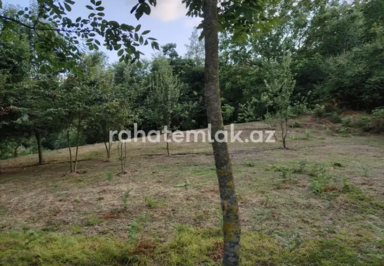 5 500 AZN - 0 sot Torpaq Satılır, Lerik