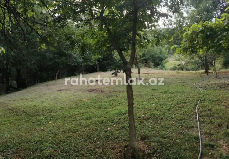 5 500 AZN - 0 sot Torpaq Satılır, Lerik