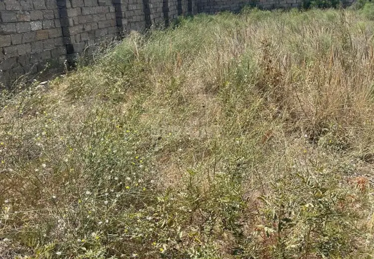 45 000 AZN - 5 sot Torpaq Satılır, Dübəndi, Xəzər, Bakı