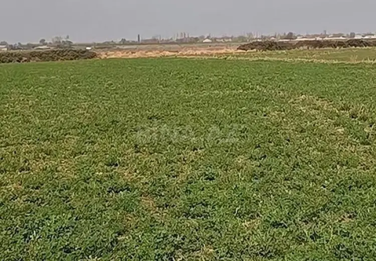 14 000 AZN - 17 sot Torpaq Satılır, Şəmkir