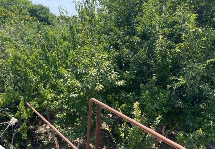 40 000 AZN - 5 otaqlı mənzil Satılır, İmişli