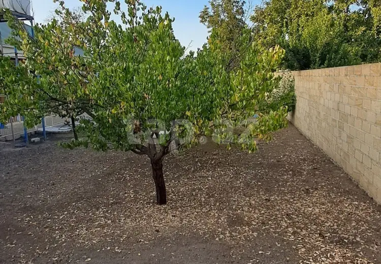 78 000 AZN - 3 otaqlı mənzil , Samux