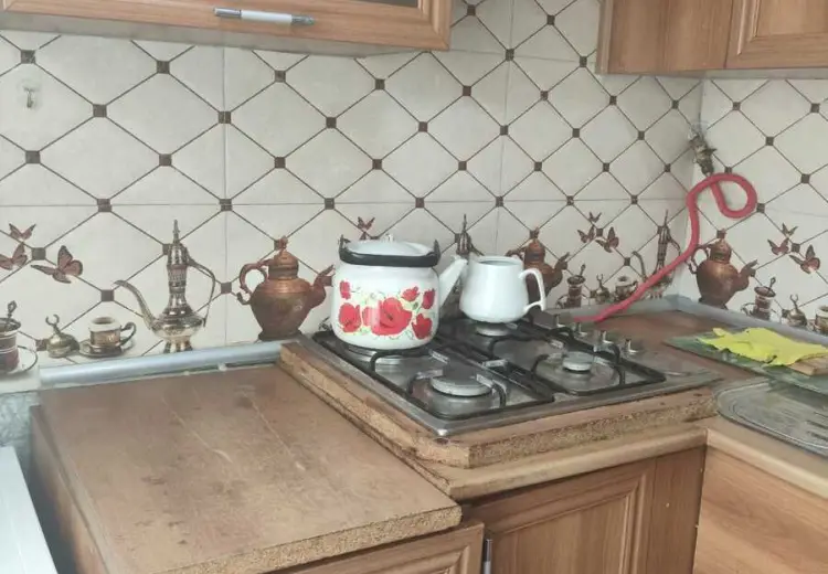450 AZN - 1 otaqlı mənzil Kirayə (aylıq), 8-ci kilometr, Laçın