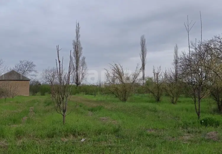 36 000 AZN - 0 m² Obyekt / Ofis , Xudat