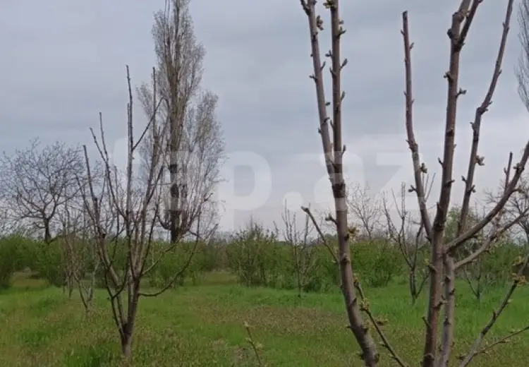 36 000 AZN - 0 m² Obyekt / Ofis , Xudat