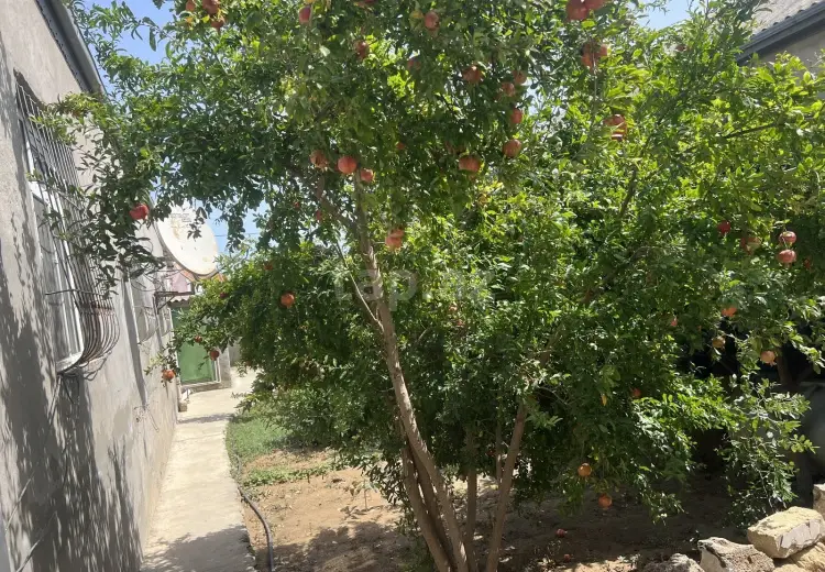 13 500 AZN - 5 otaqlı mənzil, Suraxanı qəs., Suraxanı, Bakı