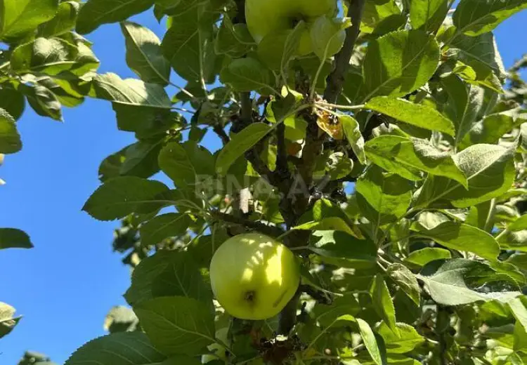 39 000 AZN - 3 otaqlı mənzil Satılır, Xudat