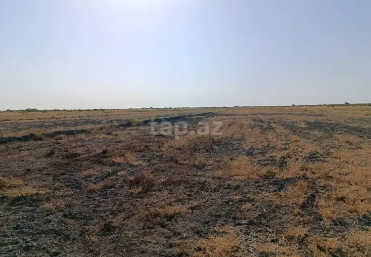 49 000 AZN - 0 m² Obyekt / Ofis , Sabirabad