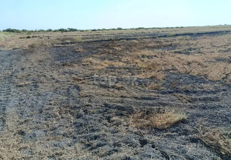 49 000 AZN - 0 m² Obyekt / Ofis , Sabirabad